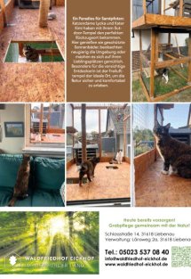 Land erleben Seite 29