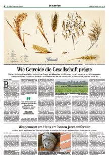 DIE HARKE Seite 12