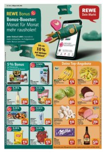 DIE HARKE Seite 17