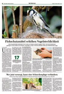 DIE HARKE Seite 12