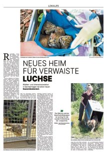 DIE HARKE Seite 3