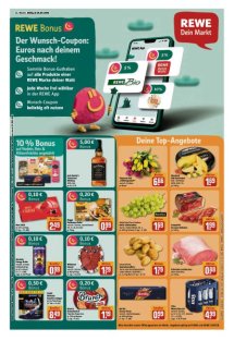 DIE HARKE Seite 19