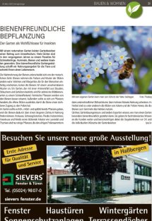 Bauen und Wohnen Seite 31