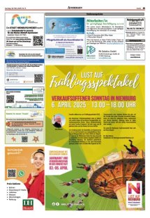 HamS Seite 15