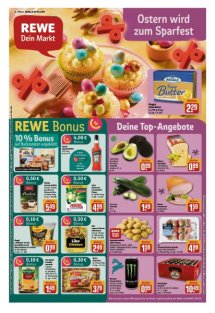 DIE HARKE Seite 17