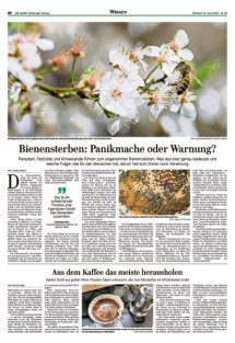 DIE HARKE Seite 20