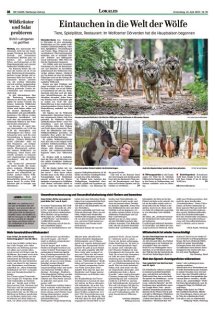 DIE HARKE Seite 18