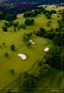 Birdie Seite 7