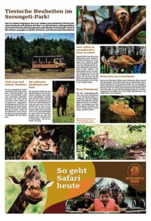 DIE HARKE Seite 17