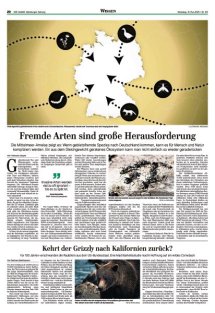 DIE HARKE Seite 20