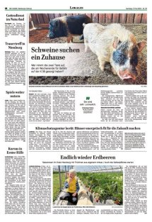 DIE HARKE Seite 18