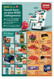 DIE HARKE Seite 17