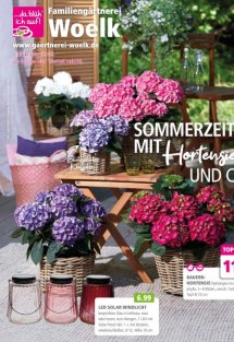 Woelk vom 06.06.2025