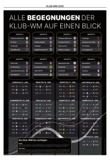 Fifa-Klub-WM Seite 6
