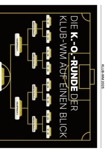 Fifa-Klub-WM Seite 8