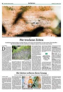 DIE HARKE Seite 12