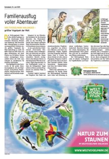 Erlebnis Sommer Seite 7