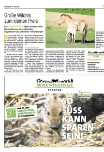 Erlebnis Sommer Seite 11