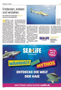 Erlebnis Sommer Seite 17