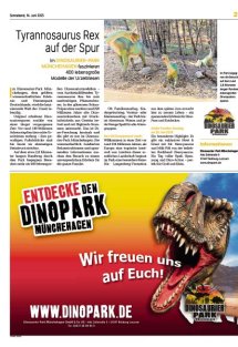 Erlebnis Sommer Seite 21