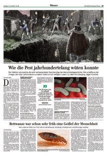 DIE HARKE Seite 43