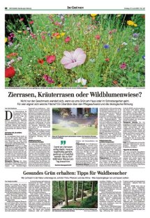 DIE HARKE Seite 10