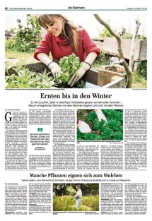 DIE HARKE Seite 26