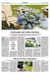 DIE HARKE Seite 12