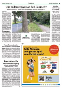 DIE HARKE Seite 15