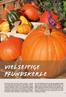 Land erleben Seite 37