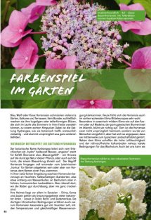 Land erleben Seite 40