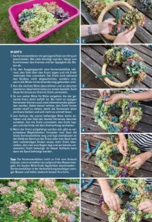 Land erleben Seite 43