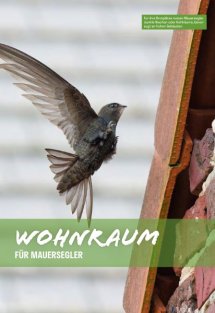 Land erleben Seite 46