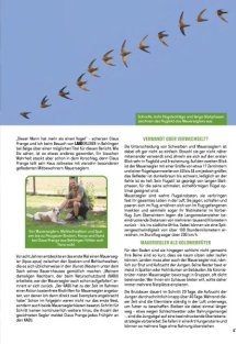 Land erleben Seite 47