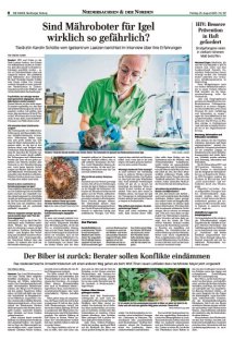 DIE HARKE Seite 8