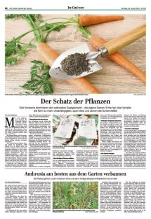 DIE HARKE Seite 24
