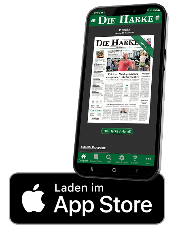 E-Paper-App auf iOS